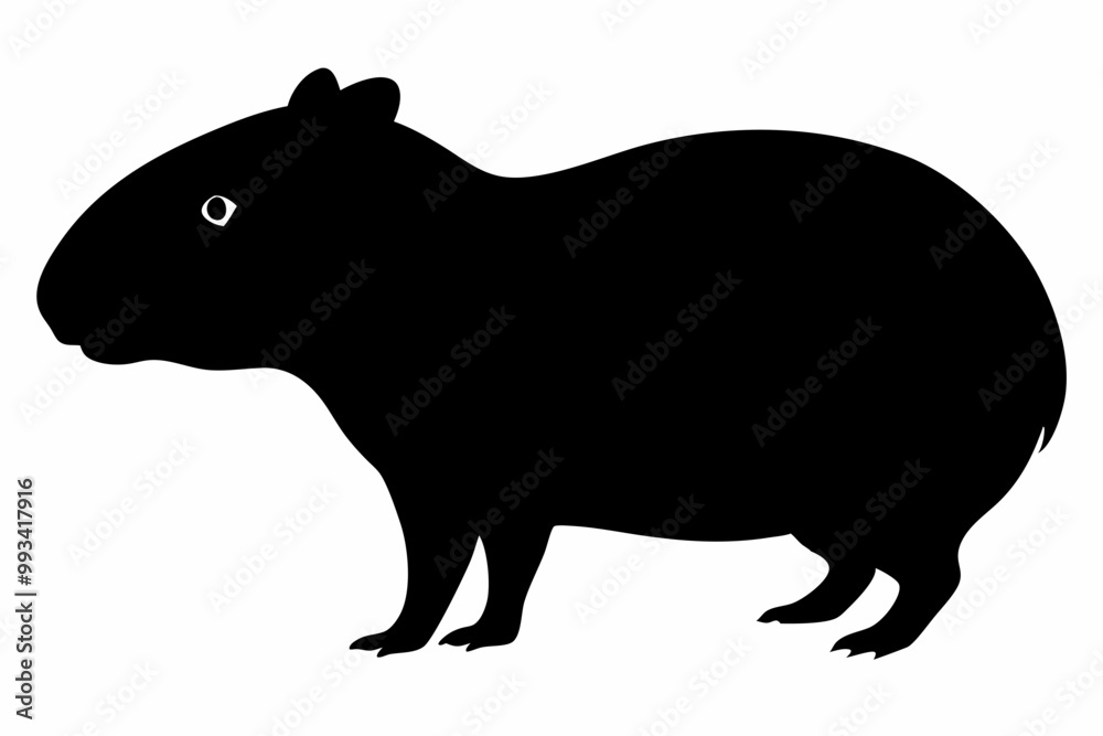 Obraz premium Сapybara Silhouette, Сapybara Animal Vector illustration 