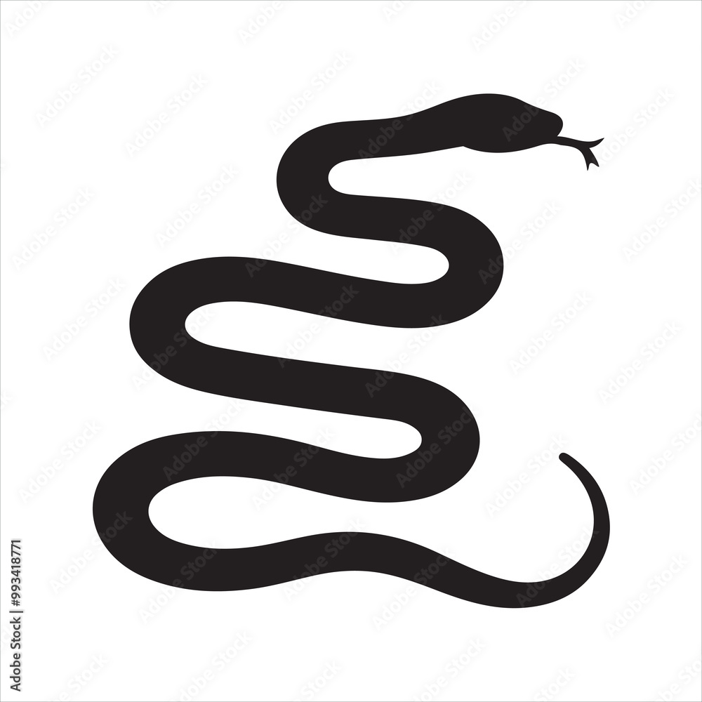 Fototapeta premium Snake silhouette on white background 