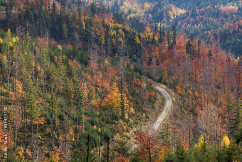 Fototapeta Naklejka Na Ścianę i Meble -  Autumn landscape in the mountains with colorful trees
