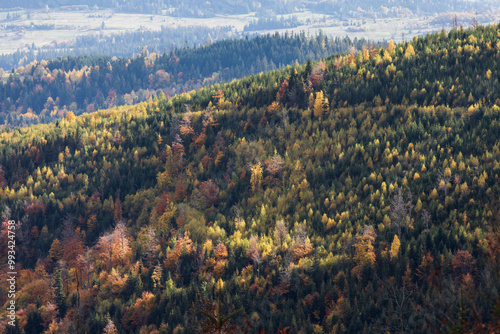 Wallpaper Mural Autumn landscape in Silesian Beskid mountains Torontodigital.ca