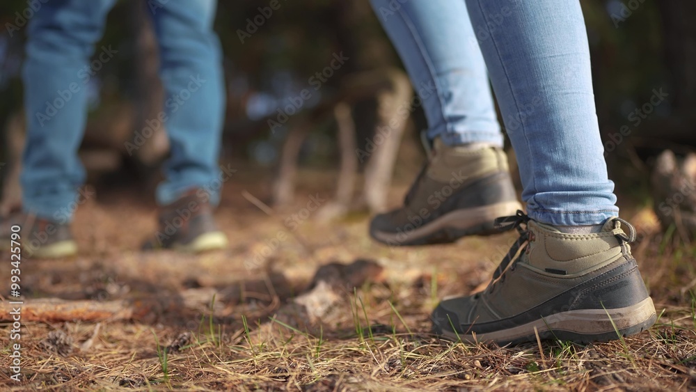 two tourists are traveling. active tourism and travel around the world concept. two tourists traveling together on foot lifestyle walking through close-up the Pine forest, legs two tourists are traveling. active tourism and travel around the world concept. two tourists traveling together on foot lifestyle walking through close-up the Pine forest, legs