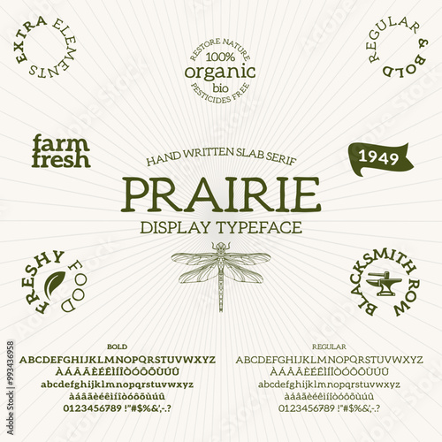 Vector Hand Drawn Font. Slab Serif alphabet with regular and bold weights. Typeface suitable for headlines, logos, packaging, card and poster designs.