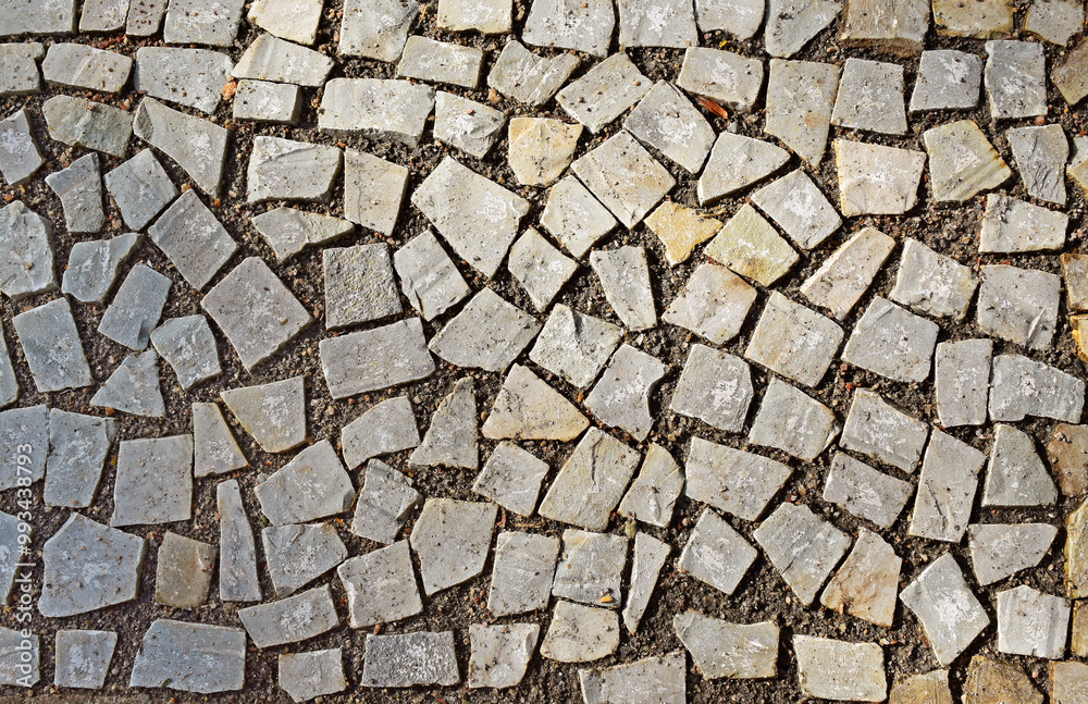Fototapeta premium Mosaic on sidewalk in Tijuca neighborhood, Rio de Janeiro, Brazil