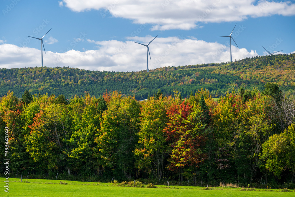 Fototapeta premium Wind turbines in the Quebec fall colors