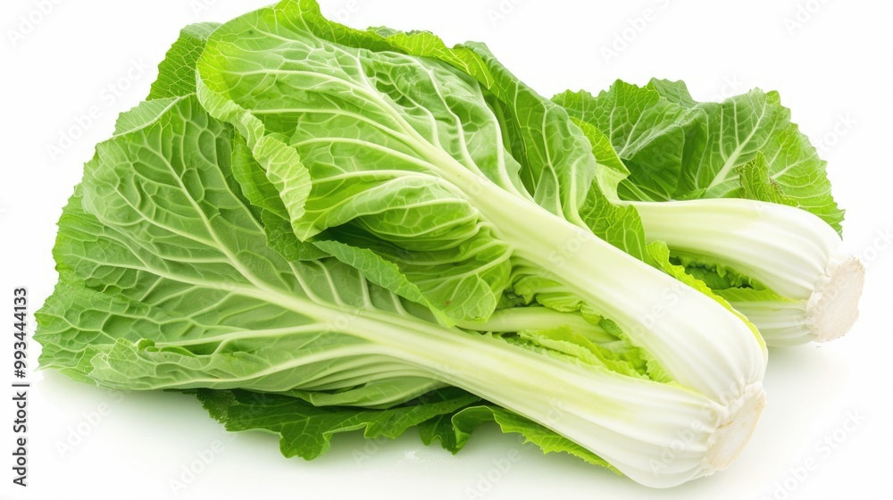 Fresh lettuce leaves on a white background Fresh lettuce leaves on a white background