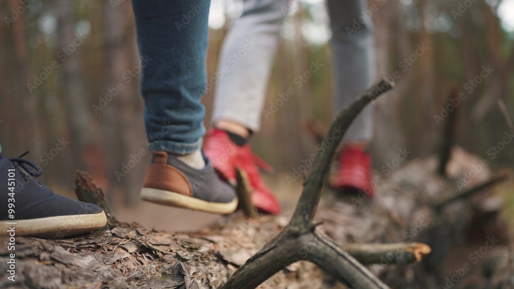 couple walking in the forest. nature dream concept. young people, a guy and a girl, walk through the autumn coniferous forest climbing on a large fallen tree. couple walking through a cold evening