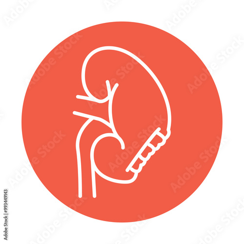 Nephrectomy black line icon. Operations on the abdominal cavity.