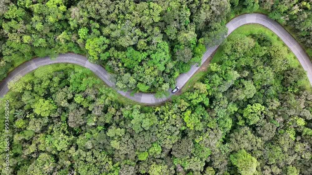 Curitiba Brazil. Graciosa Road At Curitiba In Parana Brazil. Winding Road. Scenic Curves. Historic Road Trip. Graciosa Road At Curitiba In Parana Brazil. Travel Destination. Curitiba Brazil. Graciosa Road At Curitiba In Parana Brazil. Winding Road. Scenic Curves. Historic Road Trip. Graciosa Road At Curitiba In Parana Brazil. Travel Destination.