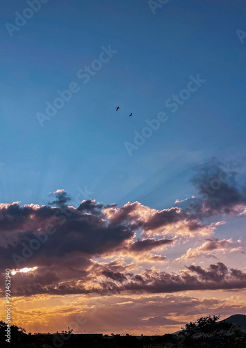 sunset in the sky
