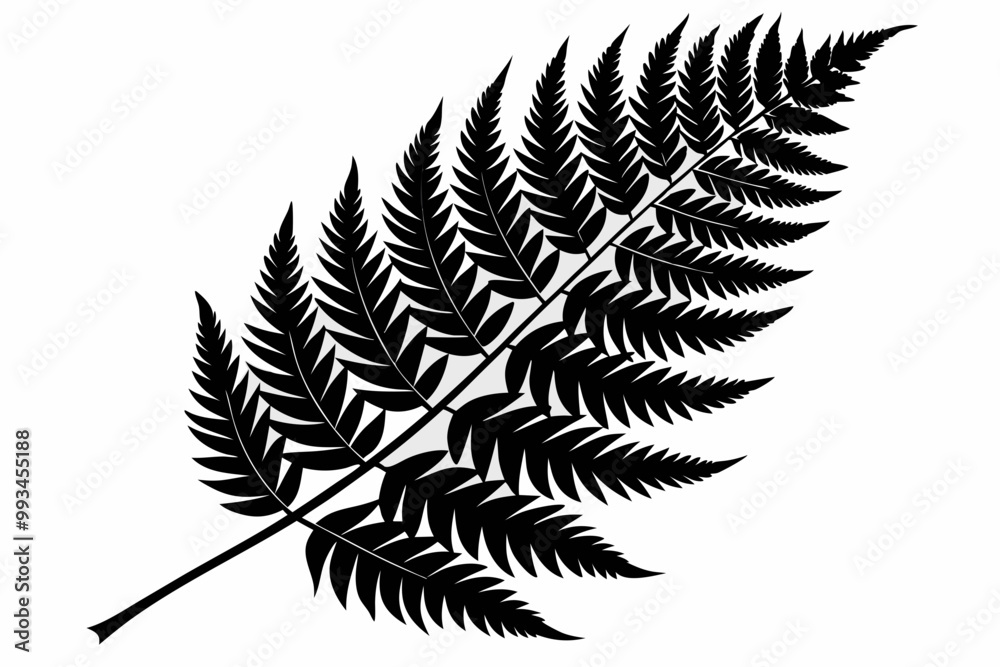 fern leaf silhouette, fern leaf icon vector fern leaf silhouette, fern leaf icon vector