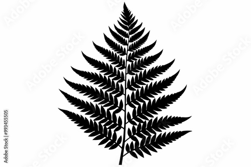 fern leaf silhouette, fern leaf icon vector