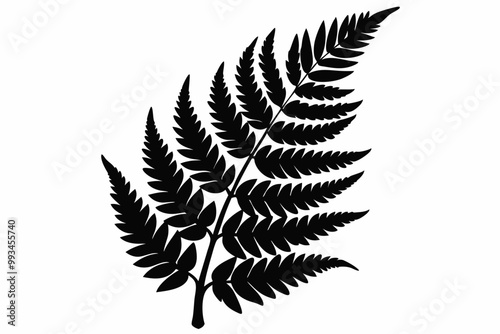 fern leaf vector, silhouette of a forest fern leaf