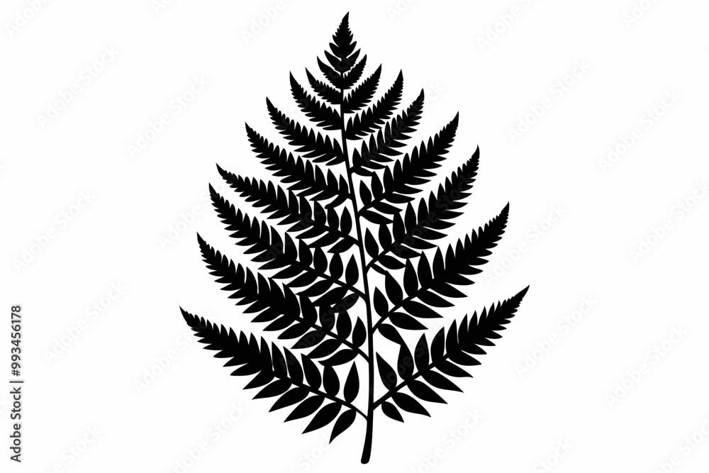 fern leaf vector, silhouette of a forest fern leaf fern leaf vector, silhouette of a forest fern leaf