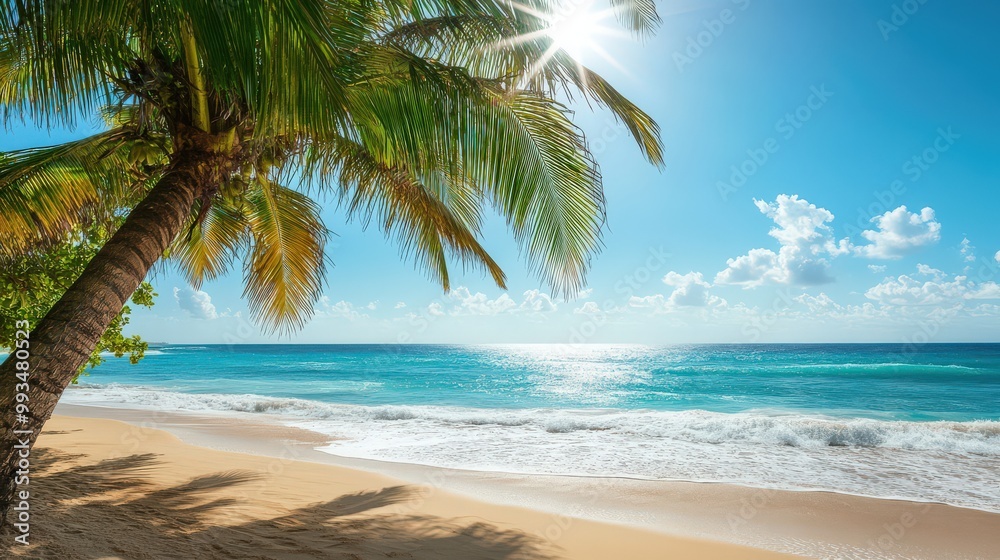Sunny Days by the Sea with Palm Trees Sunny Days by the Sea with Palm Trees