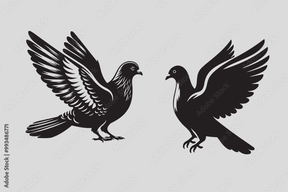Pigeon vector illustration and bird art Pigeon vector illustration and bird art