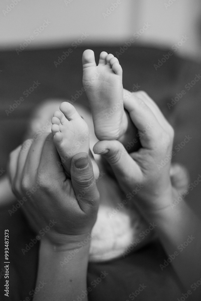 feet of the child and mother. newborn baby. the concept of motherhood feet of the child and mother. newborn baby. the concept of motherhood