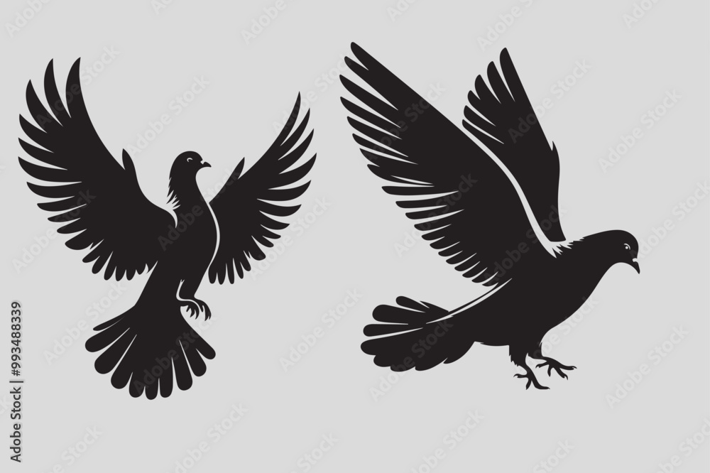 Obraz premium Pigeon vector illustration and bird art