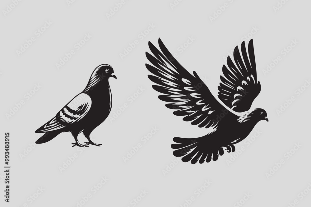 Pigeon vector illustration and bird art Pigeon vector illustration and bird art