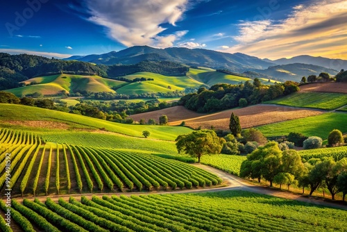 Serene Napa Valley Landscape with Rolling Vineyards, Lush Green Hills, and Clear Blue Skies