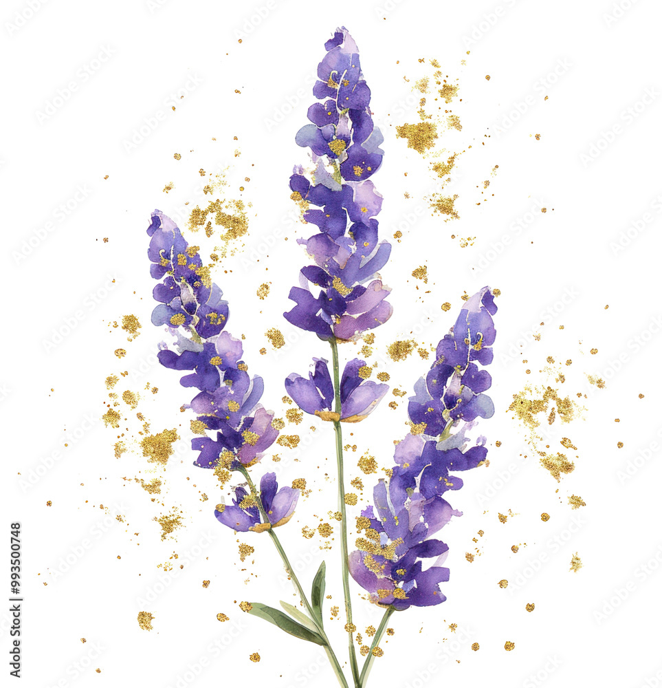 Naklejka premium PNG Watercolor purple lavender with gold glitter outline sketch blossom flower plant.