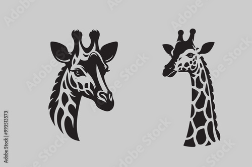 Giraffe vector illustration and Giraffe head vector