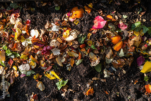 close-up of compost materials, vegetable peels, coffee grounds, and leaves, being added to a backyard compost bin