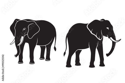 Elephant vector, Elephant illustration and elephant head photo