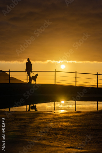 Sunset Walk with Dog