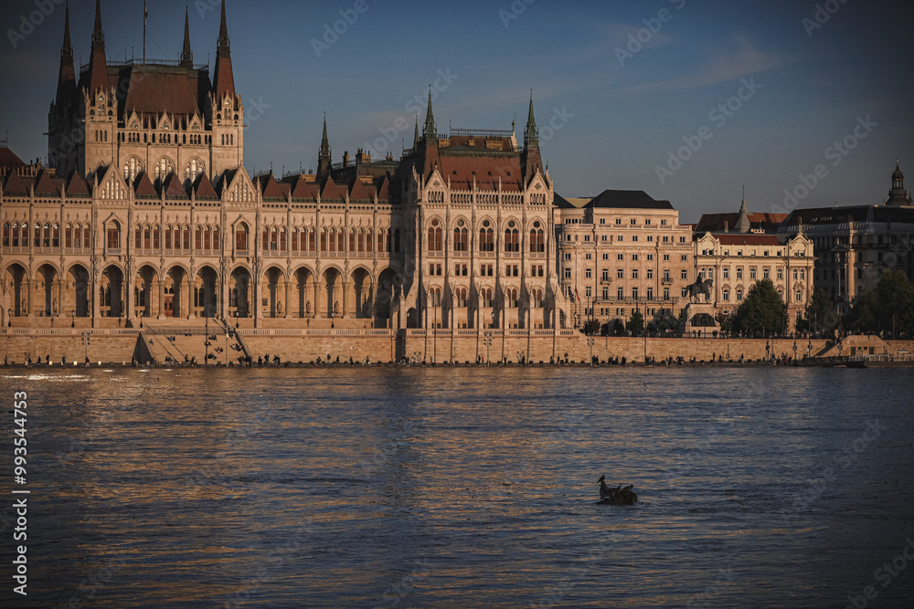 Obraz premium Parliament in Budapest at thr evening