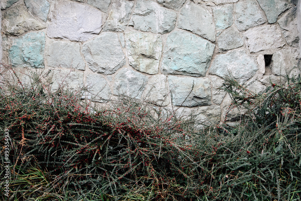 Naklejka premium Natural stone wall partially covered with green plants