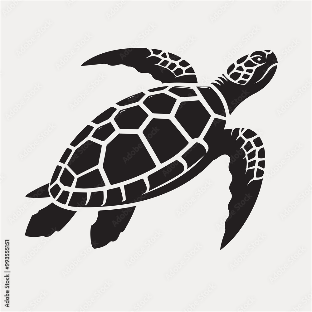 Fototapeta premium turtle vector
