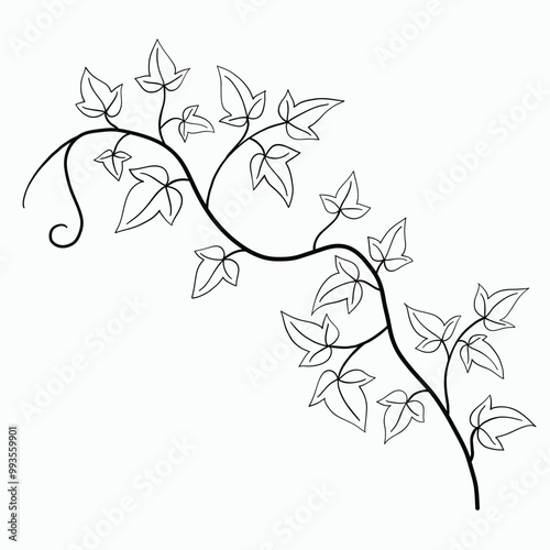Floral ivy drawing decorative ornament flat design.