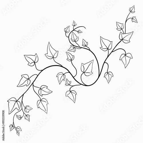 Floral ivy drawing decorative ornament flat design.
