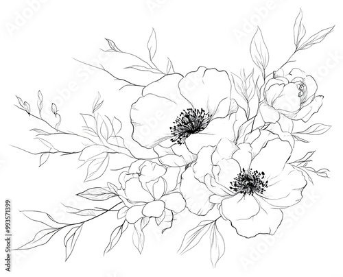 Simple floral illustration of a bunch of peonies