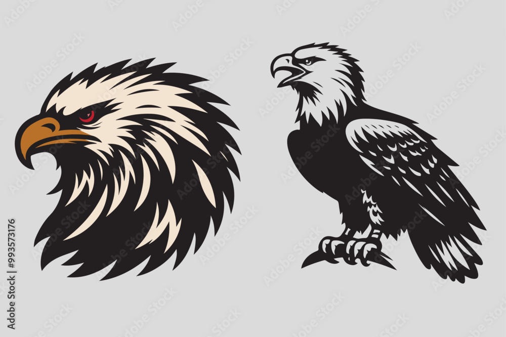eagle vector and illustration eagle vector and illustration