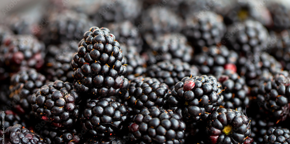 Blackberry berries. Fresh ripe blackberries as background, top view. Juicy ripe black berries in a heap. Texture of blackberries close-up. Blackberry berries. Fresh ripe blackberries as background, top view. Juicy ripe black berries in a heap. Texture of blackberries close-up.