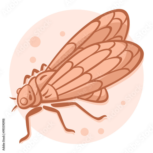 18-Cicada.svg