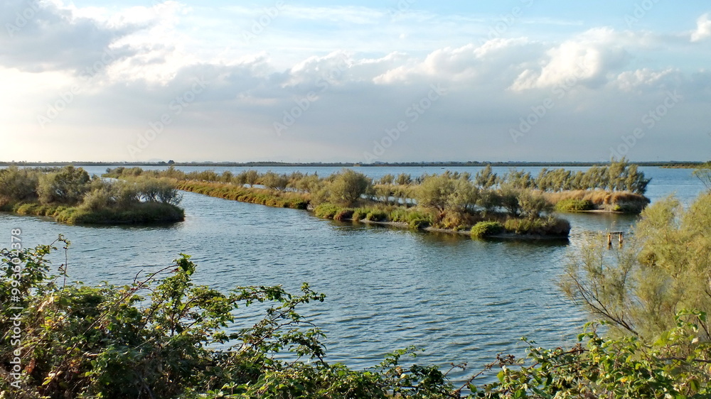 Obraz premium Wetlands in the Po River Delta, Veneto, Italy