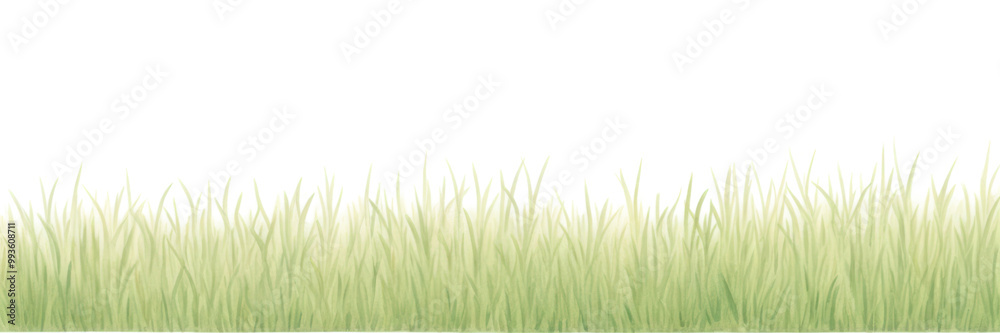 Obraz premium PNG Grass as divider watercolor vegetation outdoors nature.