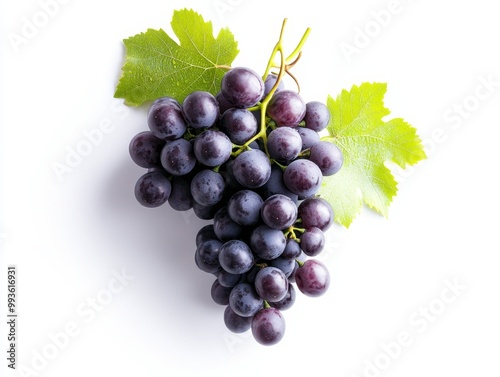 Vibrant Bunch of Grapes with Lush Foliage on the Vine