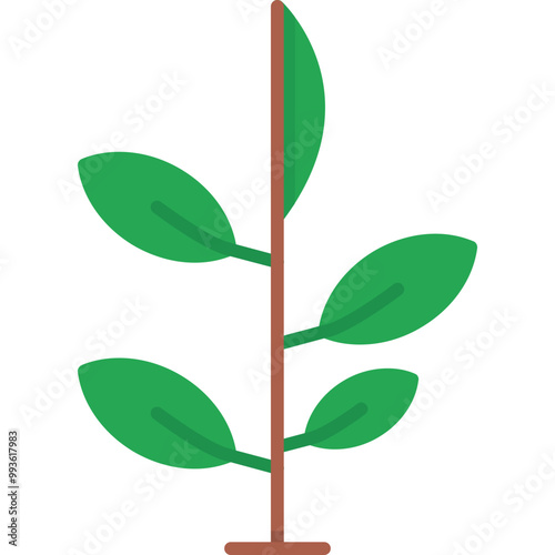 Green Tea Icon