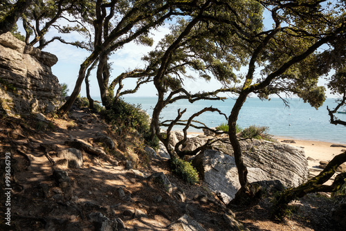 Le Bois de la Chaise sur l'île de Noirmoutier (Vendée - France)