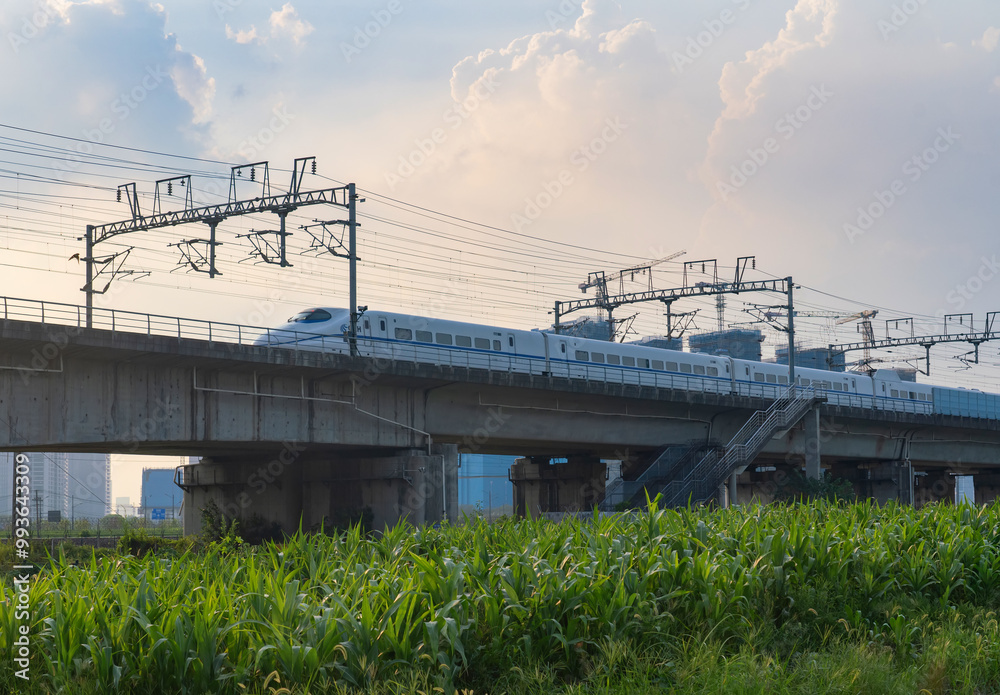 The sunset high-speed train travels on a bridge over a wheat field, with the city skyline in the background The sunset high-speed train travels on a bridge over a wheat field, with the city skyline in the background