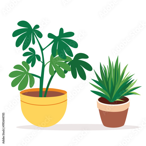 Houseplants in pots isolated on white background. Cute Indoor Plants, Flat Vector Set. Vector illustration.