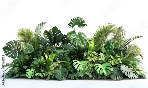 Lush green tropical plants bush