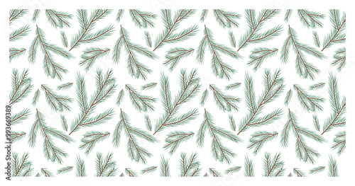 Evergreen plant and tree seamless pattern, background with pine and fir branch, cedar twig, Christmas and New Year decoration, nature print. Hand drawn vector illustration