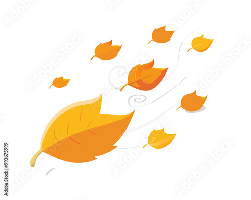 levitation of maple and oak autumn leaves on a white isolated background
