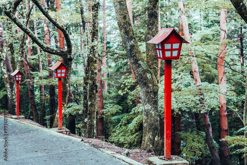 Red lanterns and green forest near mount Fuji photo