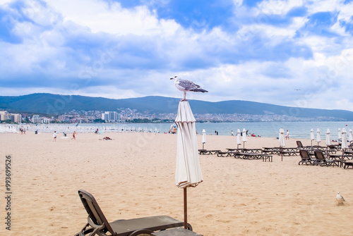 Popular resort in Bulgaria. A large seagull stands on a beach umbrella against the backdrop of the sea and cloudy sky