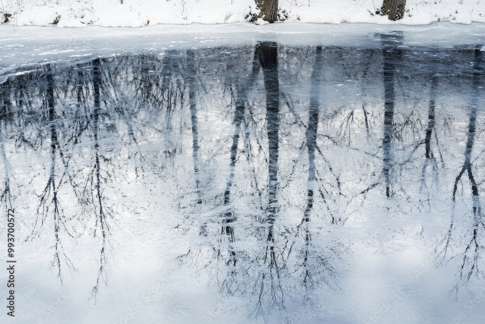 Silhouettes of Trees Reflected in a Partially Frozen Pond Silhouettes of Trees Reflected in a Partially Frozen Pond